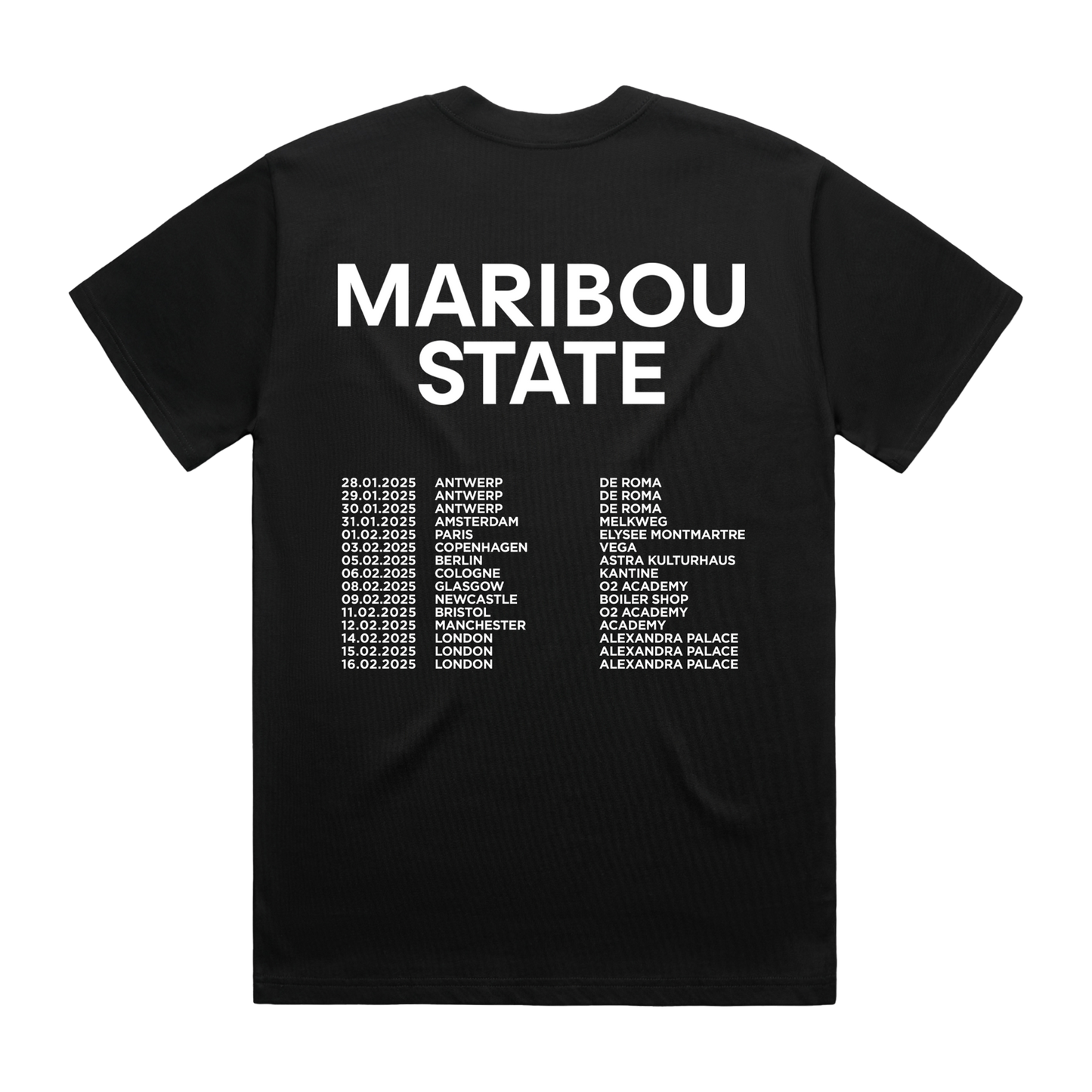 Hallucinating Love | 2025 Tour Tee